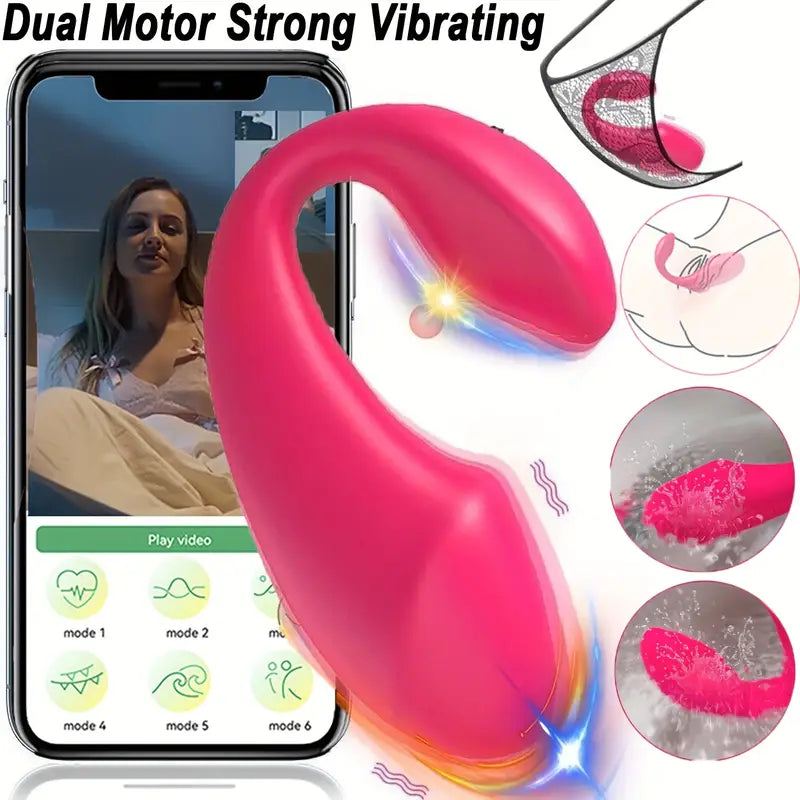 Wearable Bullet Vibrator Dual Motors Panty Vagina Stimulator Butt Plug Dildo