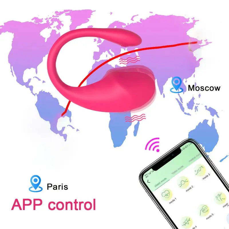 Wearable Bullet Vibrator Dual Motors Panty Vagina Stimulator Butt Plug Dildo