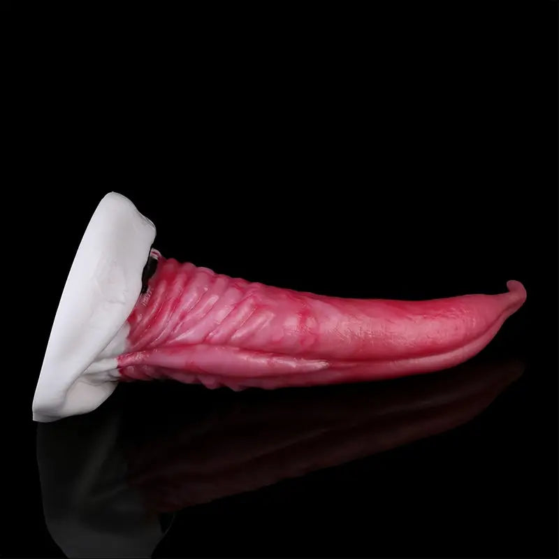 Curved Anal Plug With Suction Base G-Spot Massaging Silicone Butt Plug