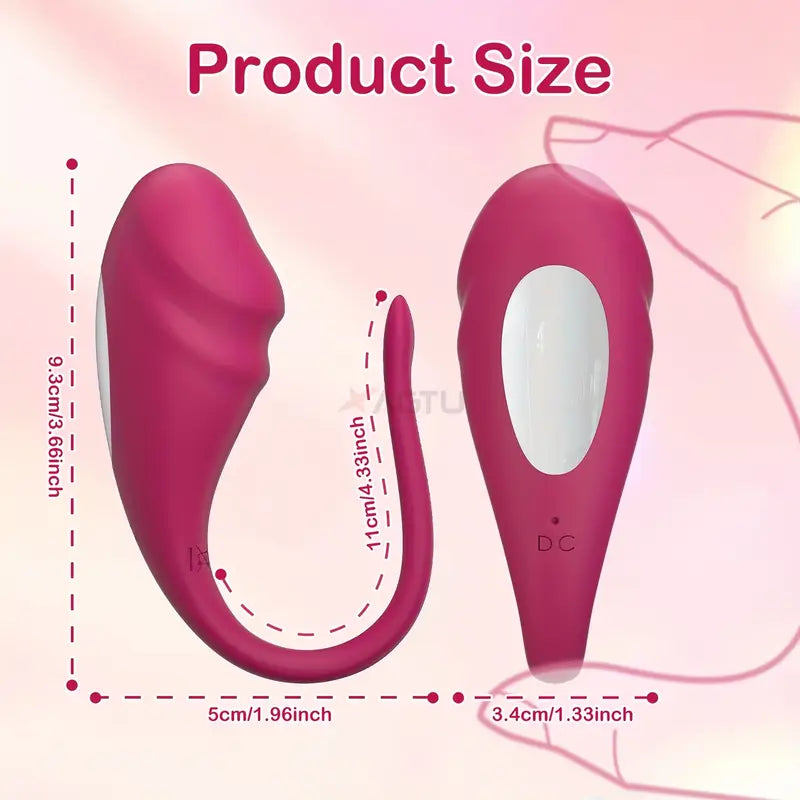 Wearable Panty G Spot Vibrator Long Distance APP Remote Control Vibrator