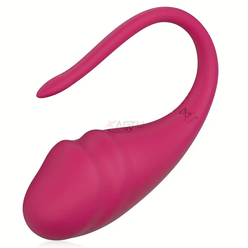 Wearable Panty G Spot Vibrator Long Distance APP Remote Control Vibrator