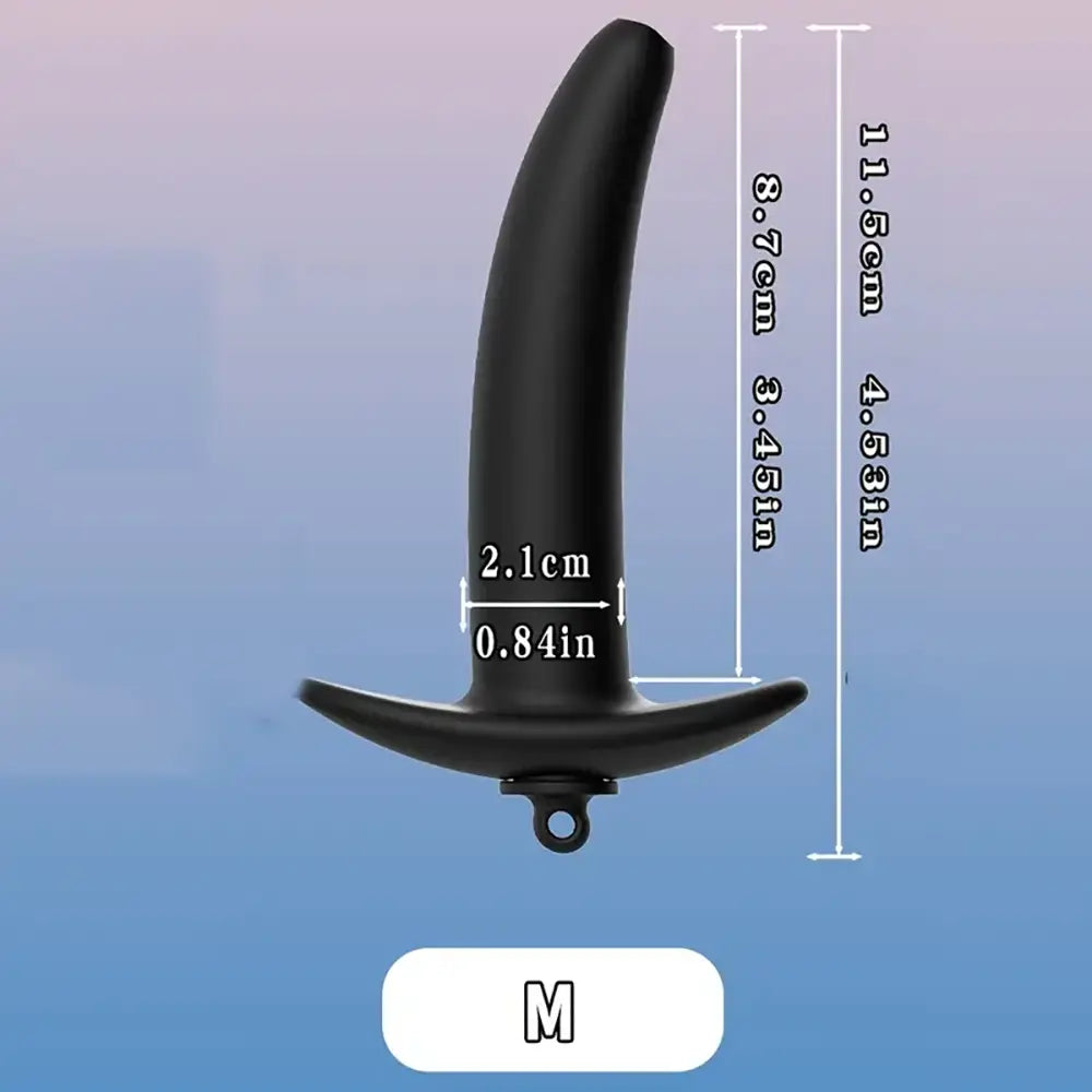 Silicone Hollow Water Filling Anal Plug Backyard Anal Dilator For Sex