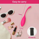 G Spot Vibrator Clitoris Stimulation Bullet Egg Anal Plug Kegel Balls