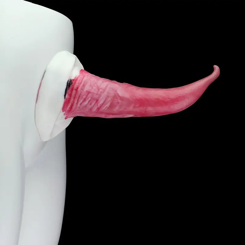 Curved Anal Plug With Suction Base G-Spot Massaging Silicone Butt Plug