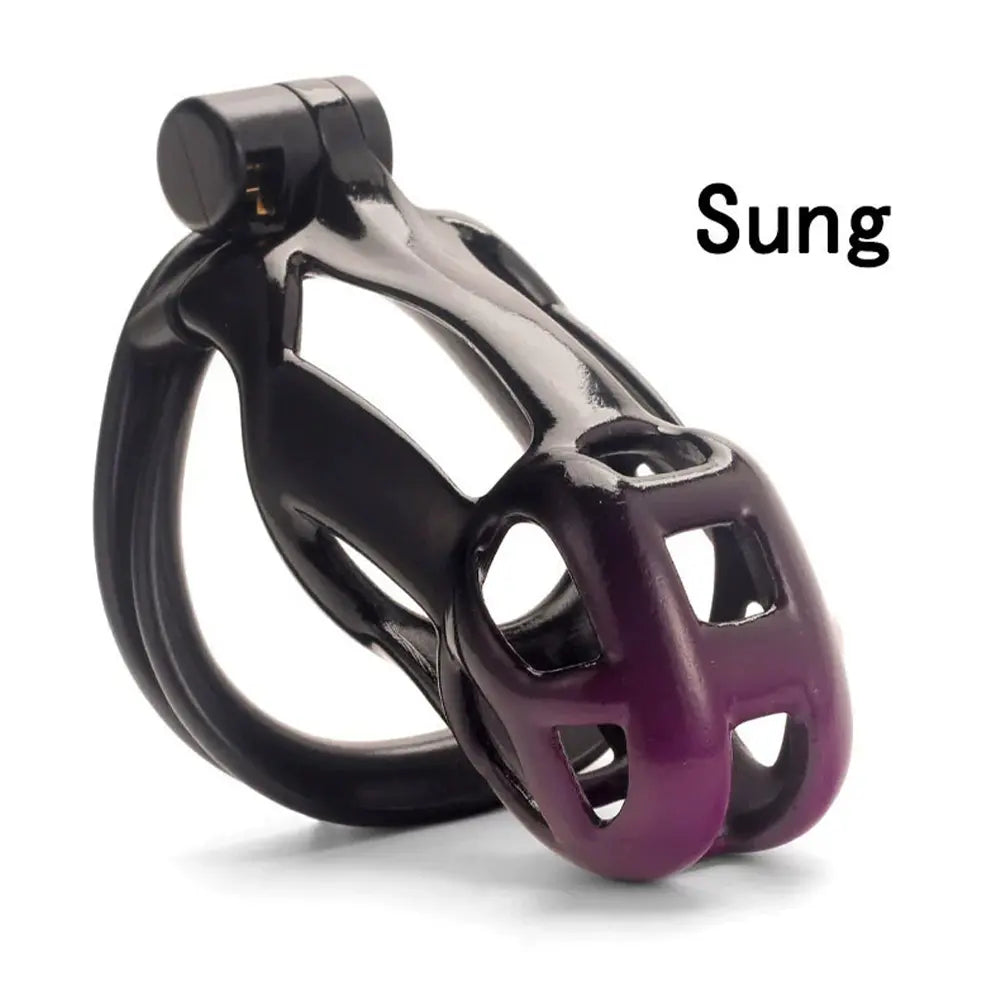 High-Quality Gradient Durable ABS Male Chastity Cage With Double Penis Rings