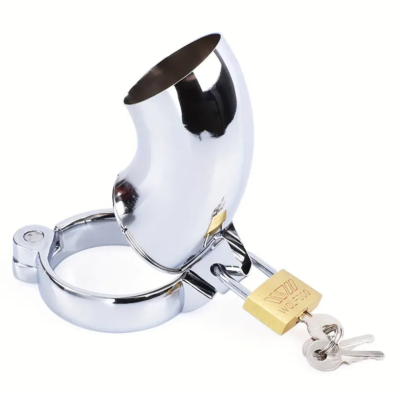 Locking Stainless Steel Chastity Cage Cock Lock For Men Penis Restraints Cage