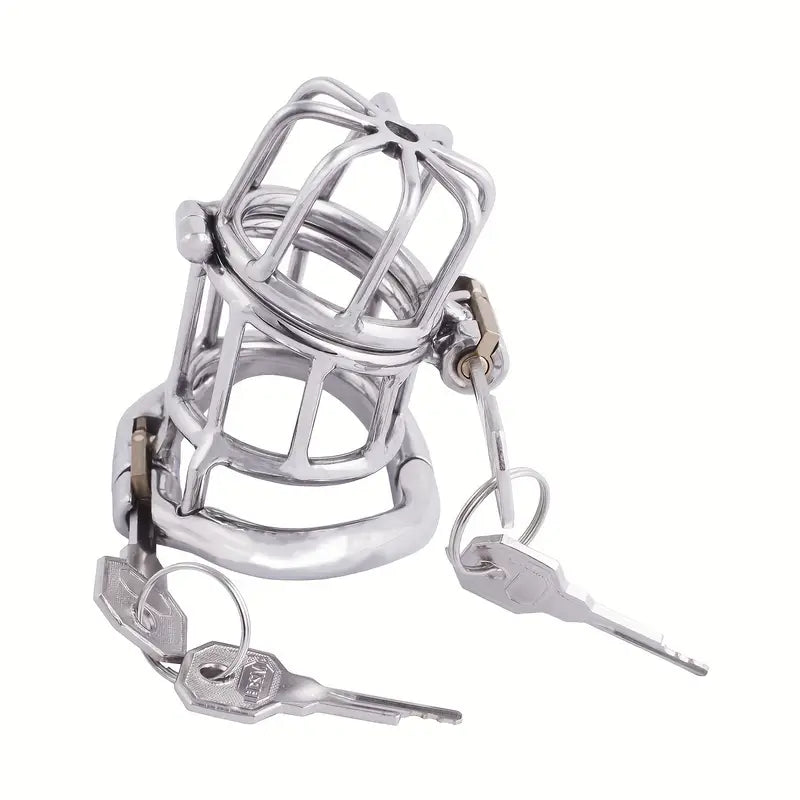 Male Stainless Steel Chastity Device Hinge Ring Double Lock Chastity Cage