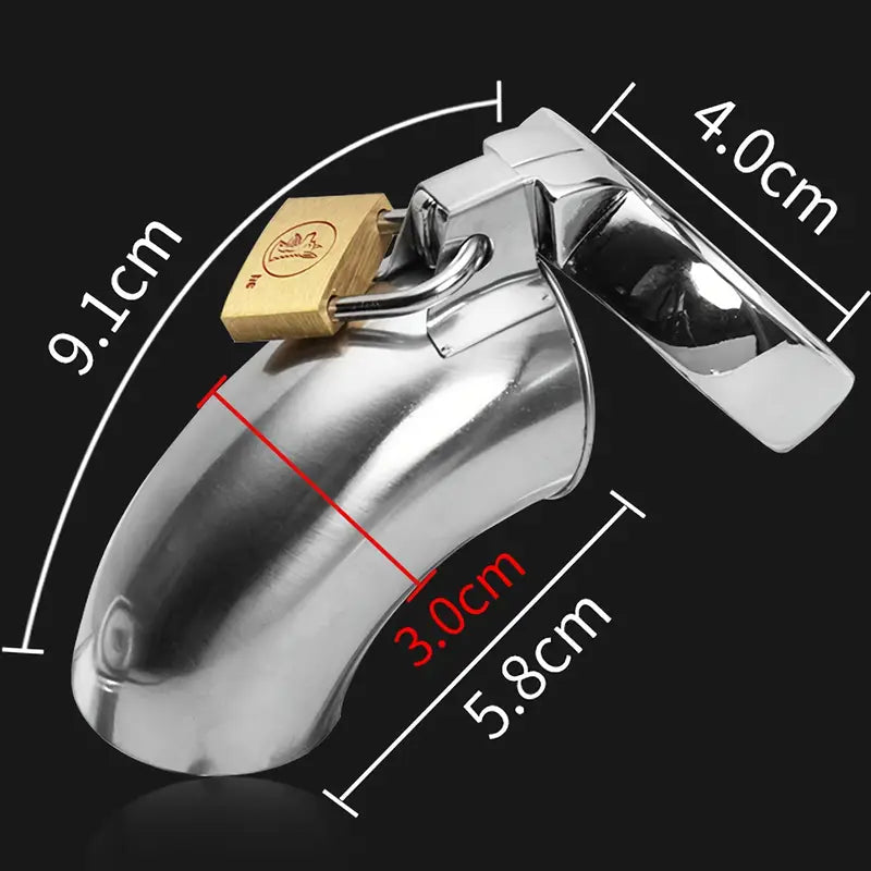 Locking Stainless Steel Chastity Cage Cock Lock For Men Penis Restraints Cage