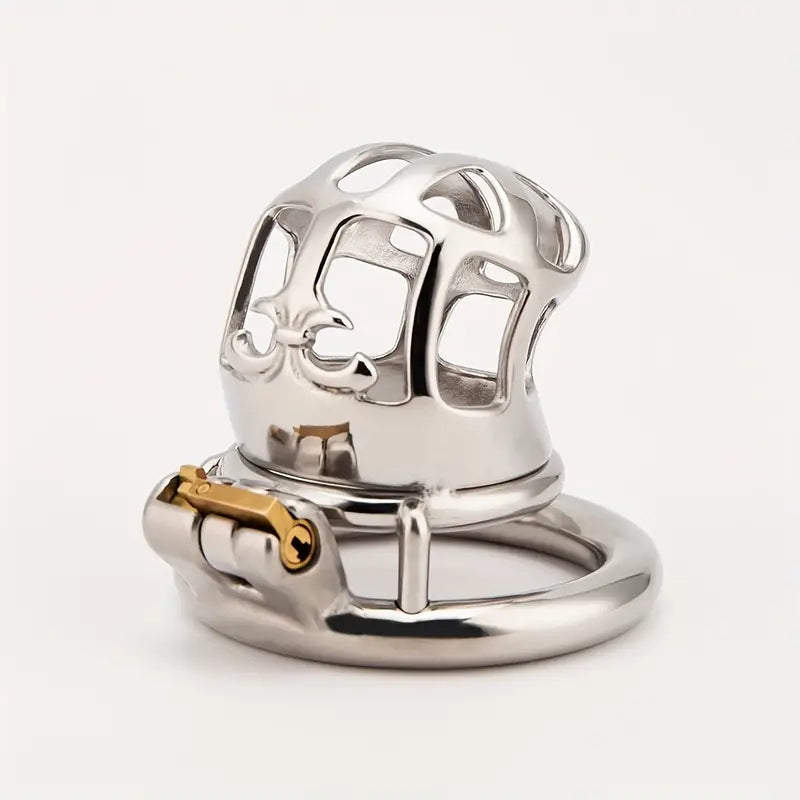 Stainless Steel Chastity Cage For Men Adult BDSM Sex Toy With Pubic Ring