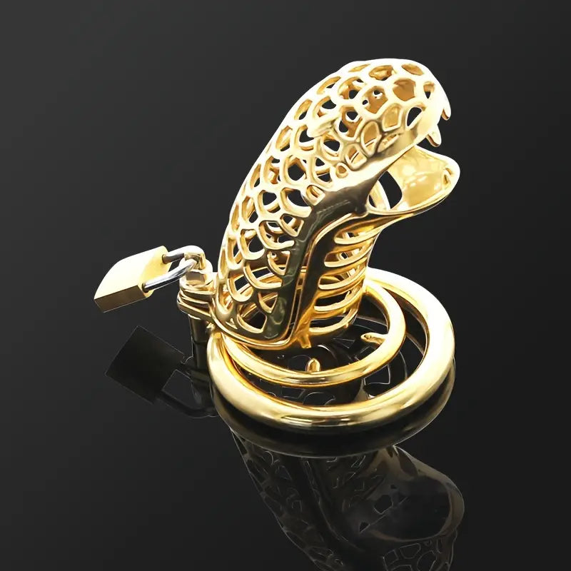 Stainless Steel Chastity Cage Keychain Hollow Male Continence Lock Cage