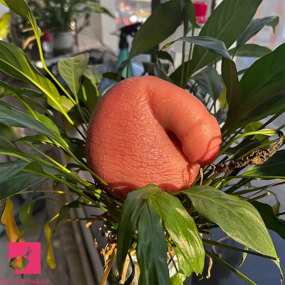 4.7in Realistic Scrotal Ball Soft Silicone Dilation Toy With Two Testicles