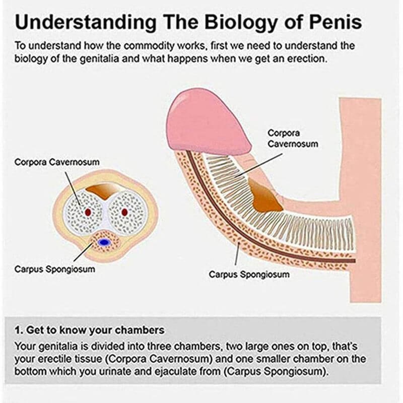 Electric Penis Enlargement Vacuum Pump For Penis Practice