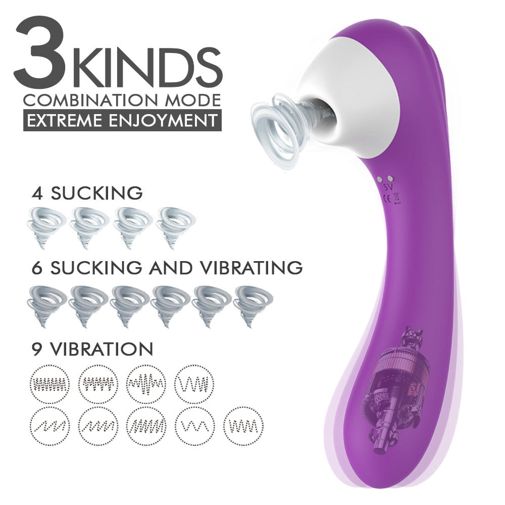10 Frequency USB Magnetic Charging Vagina Suction Vibrator Weadultshop