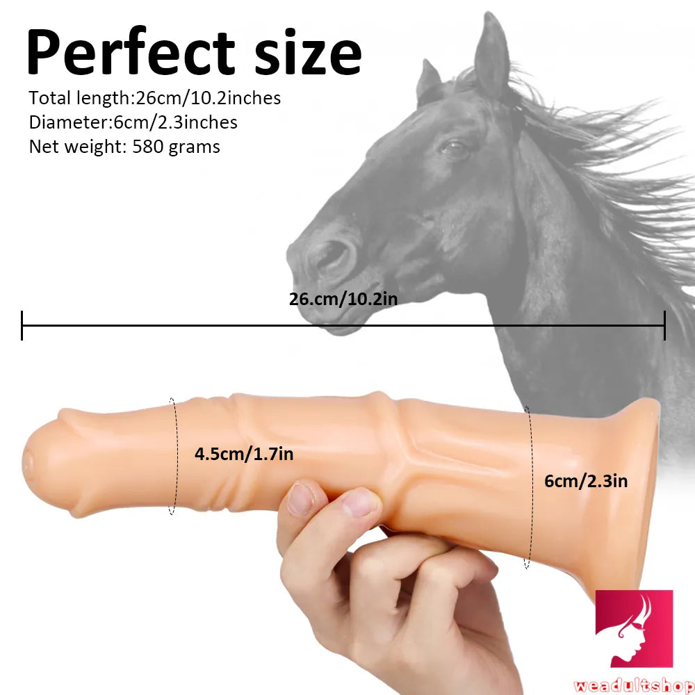 10.2in Women Sex Orgasm Horse Animal Dildo For Anal Play