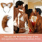 5/3/2pcs Fox Tail Butt Plug With Ear Headband Metal Butt Plug Role Play