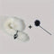 Anal Plug Tail Plus Feather Gradient Color Metal Anal Plug Tail Erotic Supplies