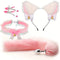 Cat Ears Headband Cute Fox Tail Plug Tail With Small Butt Plug Nipple Clamp