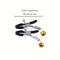 Five-piece Sex Toys Set Anal Plug Male Female Sex Toys Sm Metal Fox Tail
