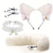 Cat Ears Headband Cute Fox Tail Plug Tail With Small Butt Plug Nipple Clamp