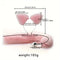 SM Metal Fox Tail Ear Set Tail Butt Plug With Ear Set For Cosplay Sex Game