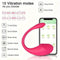 G Spot Vibrator Clitoris Stimulation Bullet Egg Anal Plug Kegel Balls