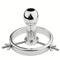Adjustable Metal Anal Plug Buttock Stretcher Set for Men And Women