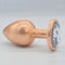 Golden Ice Flower Anal Plug Metal Butt Trainer With Jeweled Base