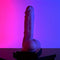 8.27in Realistic Dildo With Strong Suction Cup Anal Prostate Play Sex Toy