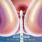 Home Use Vaginal Anal Douche Hot & Cold Water Private Parts Washer