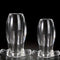 Tunnel Butt Plug Enema Douche Hollow Anal Douche Prostata Massager
