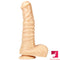 9.84in Realistic Big Thick Animal Horse Dildo With Suction Cup