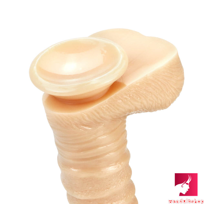 9.84in Realistic Big Thick Animal Horse Dildo With Suction Cup