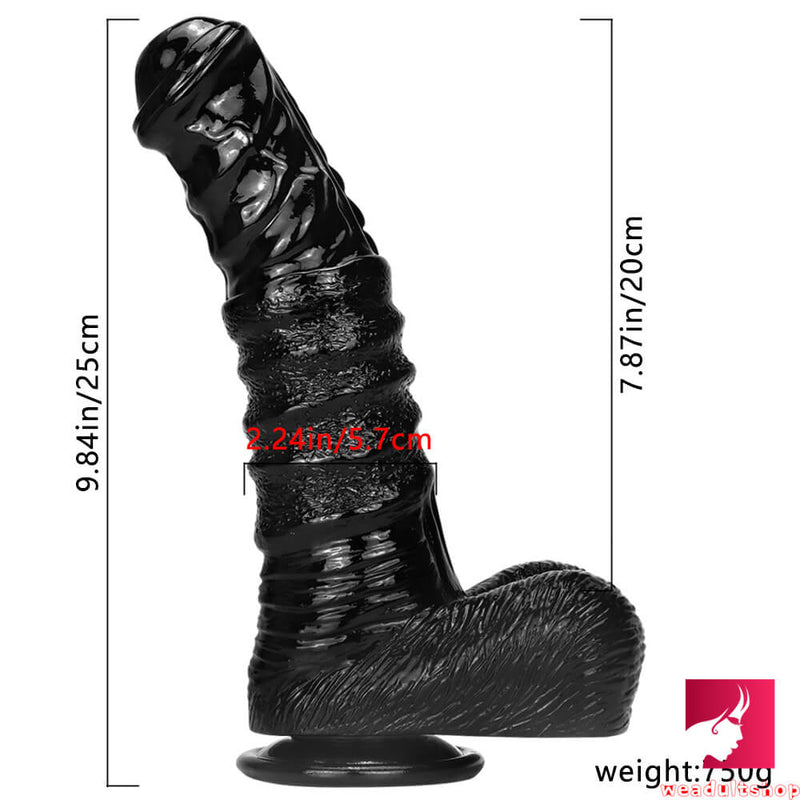 9.84in Realistic Big Thick Animal Horse Dildo With Suction Cup