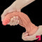 11in Realistic Big Soft Silicone Dual Layer Suction Cup Sex Dildo