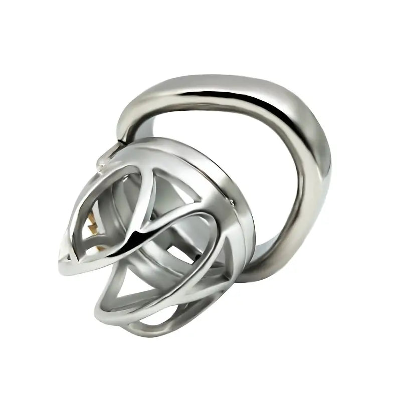 Stainless Steel Chastity Lock Metal Hollow Birdcage CB Lock Cage Sex Toy