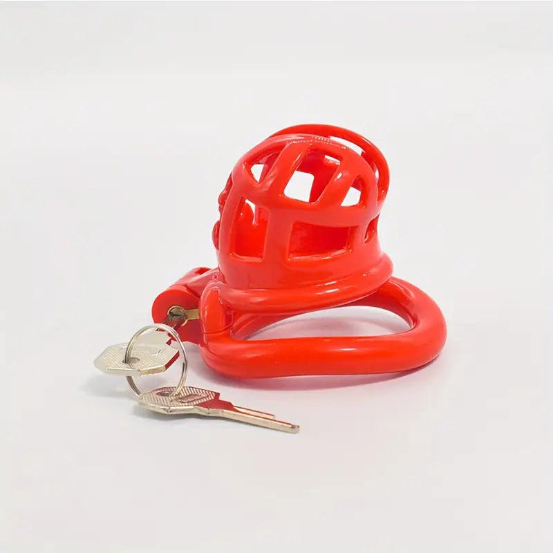 Resin Male Penis Cage Breathable Bdsm Sex Toys For Men Sissies Virginity