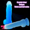 7.48in 9.25in Luminous Silicone Soft Dildo For Men Women Fucking Sex