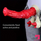 10.01in Big Animal Horse Cock Silicone Soft Cock Dildo For Clit Dilator