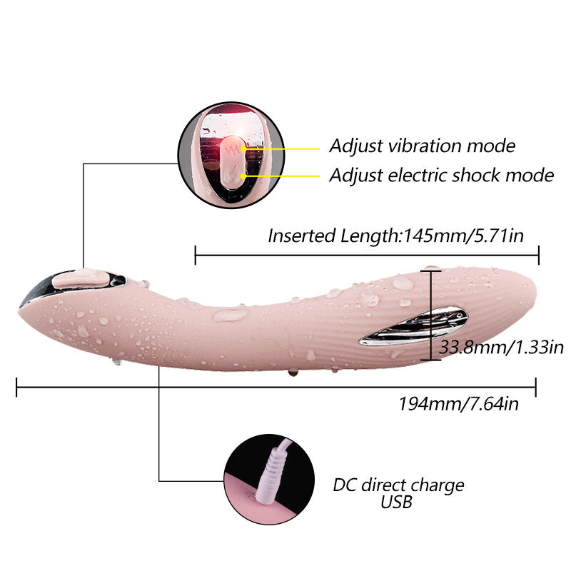 Electric Shock Wand Passion SM Punishment Flirting Pulse Vibrator