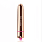 LEVETT Lipstick 16 Frequency Bullet Small Adult Vibrator