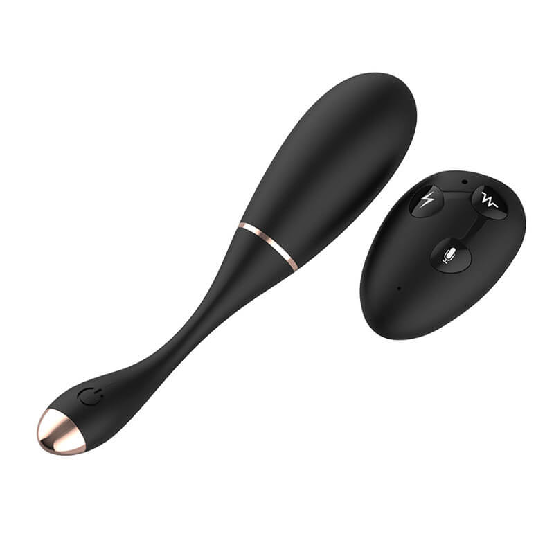 Jumping Egg Remote Sound G spot Vagina Vibrator For Woman