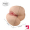 11.68lb Big Round Ass TPR Sex Doll Torso For Double Sex Pleasure