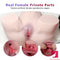 24.25lb Real Vaginal 3D Channel Big Ass TPR Adult Sex Doll Torso