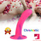 6.69in Rainbow Dildo Flexible Strong Suction Cup Sex Toy