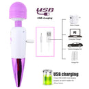 USB Charging Strong Vibration Female Vibrator For Adult