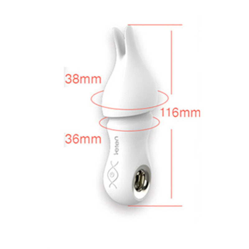 Leten Mini 10 Speed G spot Nipple Clit Rabbit Vibrator