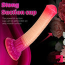9.84in Long Horse Dildo Thick Animal Anal Sex Toy For Women