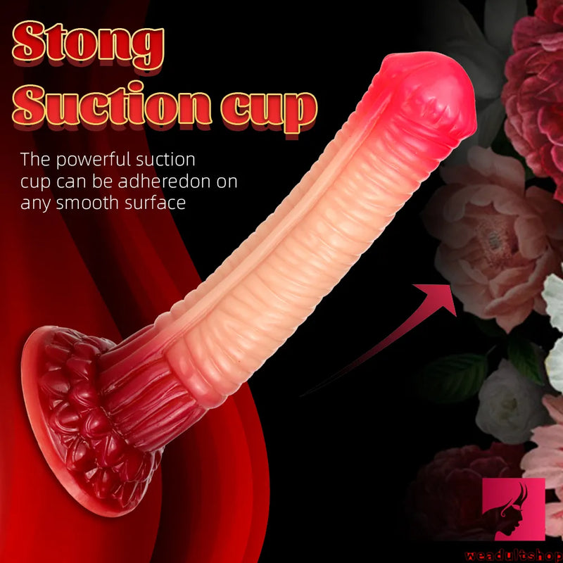 9.84in Long Horse Dildo Thick Animal Anal Sex Toy For Women