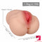 4.19lb Sexy Butt Torso Sex Toy With Tight Vagina Men Love Toy