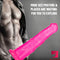 10.2in Women Sex Orgasm Horse Animal Dildo For Anal Play